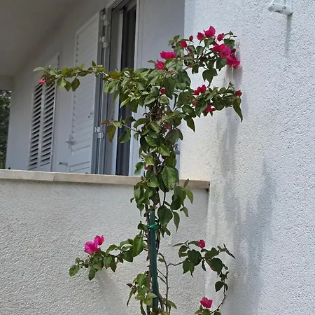 Oliveta Holiday home Brela
