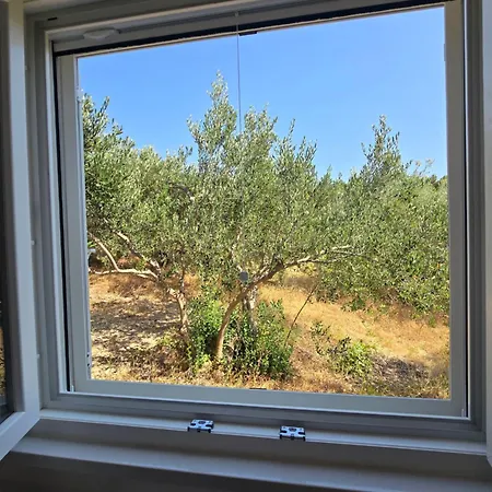 Holiday home Oliveta *