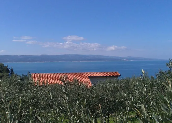 Holiday Oliveta 布雷拉
