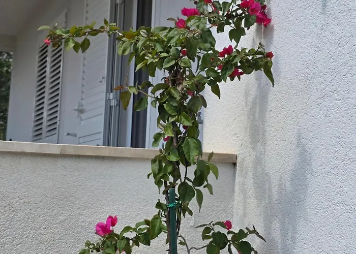 Holiday Oliveta 度假居 布雷拉