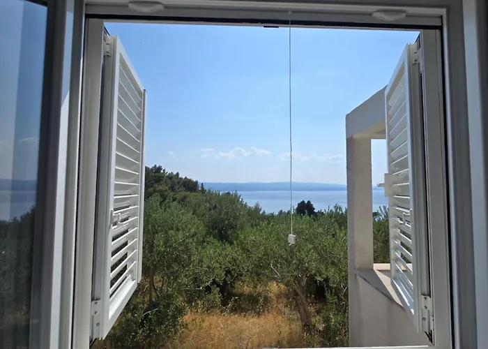 Holiday Oliveta