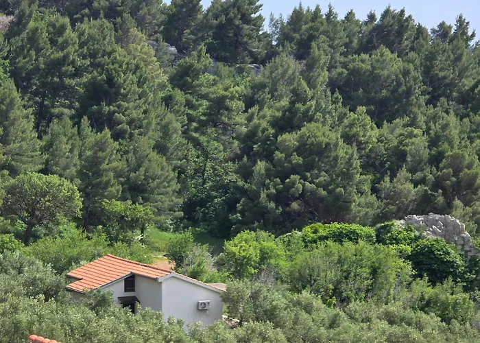 Holiday Oliveta *