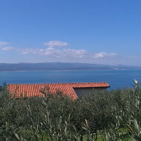 Oliveta Brela