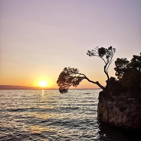 Oliveta * Brela